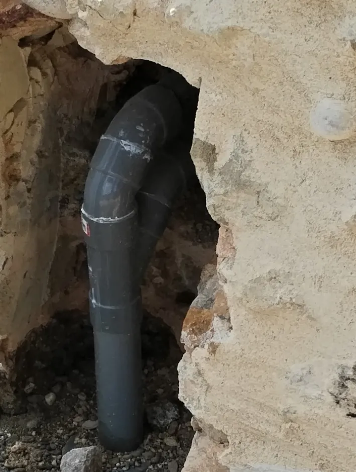 Statue de jardin, détails et végétation